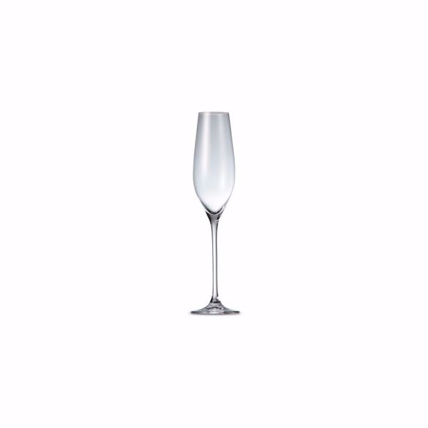 Salt & Pepper - Champagneglas 21cl Cuvee - set/6 