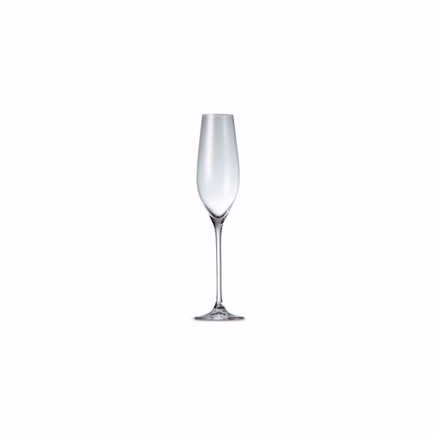 Salt & Pepper - Champagneglas 21cl Cuvee - set/6
