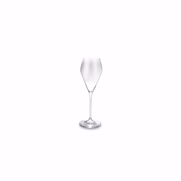 Salt & Pepper - Champagneglas 23cl Cuvee - set/6 