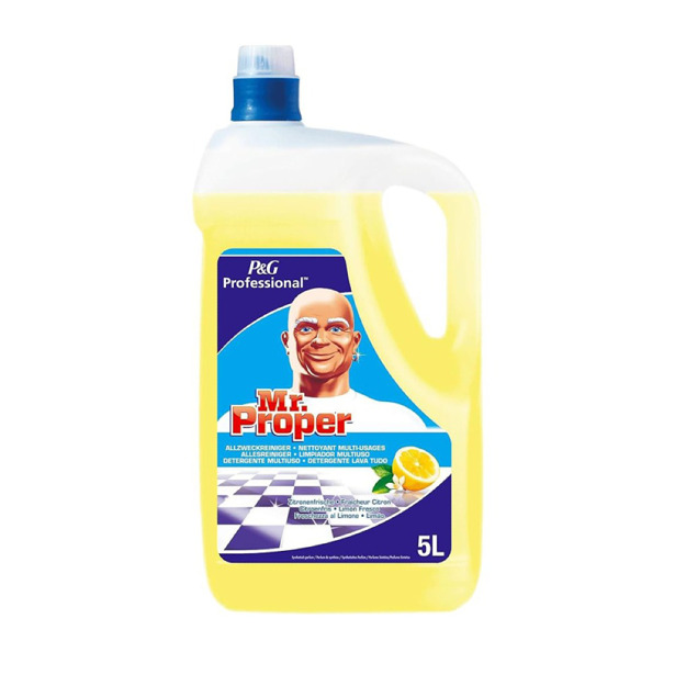Mr Proper - Professional Allesreiniger Ocean 5L