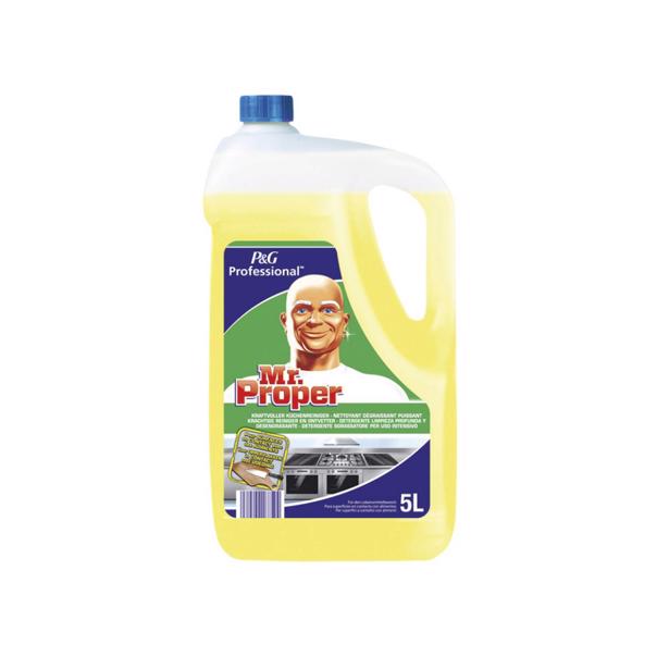 Mr. Proper Krachtige Reiniger en Ontvetter Professional