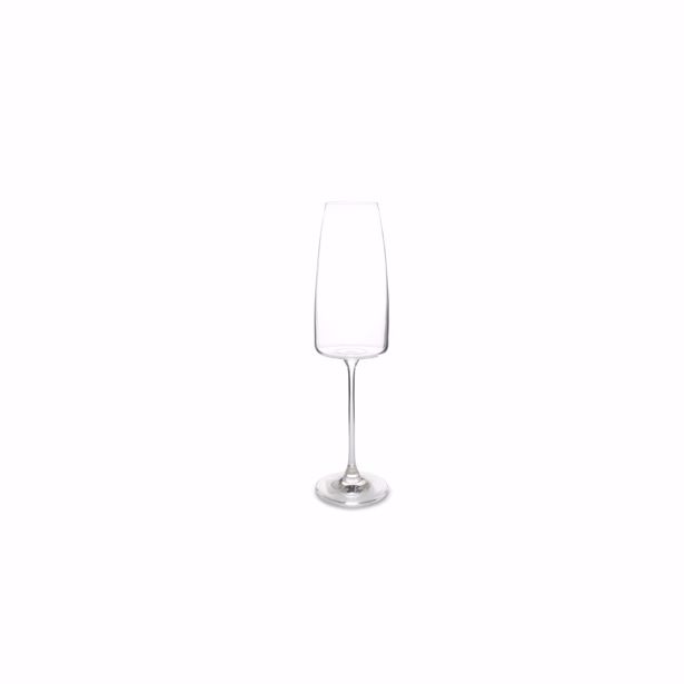 Salt & Pepper - Champagneglas 34cl Villa - set/4