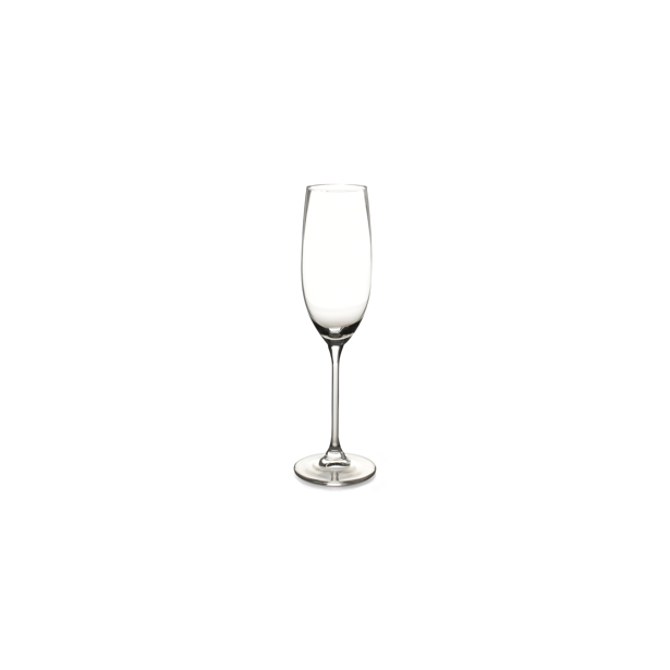 S&P Champagneglas 21cl Tinta - set/6