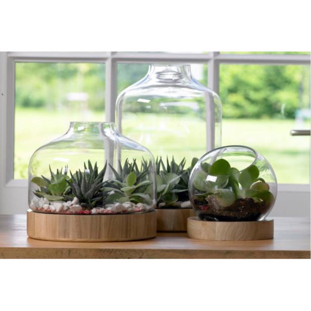 Cosy & Trendy Florarium met Houten Basis d 27 x h 40 cm