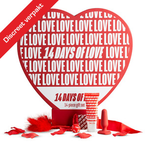 Loveboxxx 14 Days Of Love - Lovebox (14 stuks geschenkset) 8719934003293
