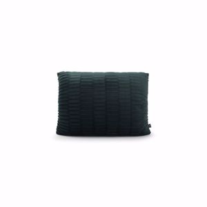 Salt & Pepper Kussen 45x30cm velvet groen Misa 5410595722624