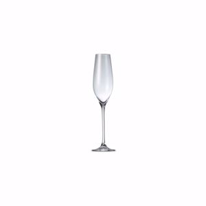 S&P Champagneglas 21cl Cuvee - set/6 9319882309622