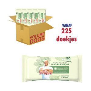 Mr. Proper Desinfecterende Doekjes Eucalyptus & Munt XL (5 x 45 doekjes) 8006540614648