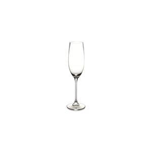 S&P Champagneglas 21cl Tinta - set/6 5410595754014