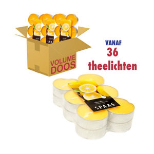 Spaas Citronella Grote Theelichten 10 uur brandtijd 5411708148133