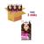 Schwarzkopf Poly Palette Perfect Gloss Color 365 - Pure Chocolade