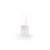 Salt & Pepper - Asana Geurstokjes Amber 100 ml.