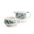 Tea for one set 60cl groen Lilia