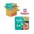 Pampers Baby Dry 3 in voordeelverpakking!